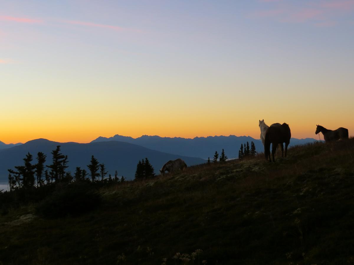 Bear Claw Lodge Kispiox Eksteriør billede
