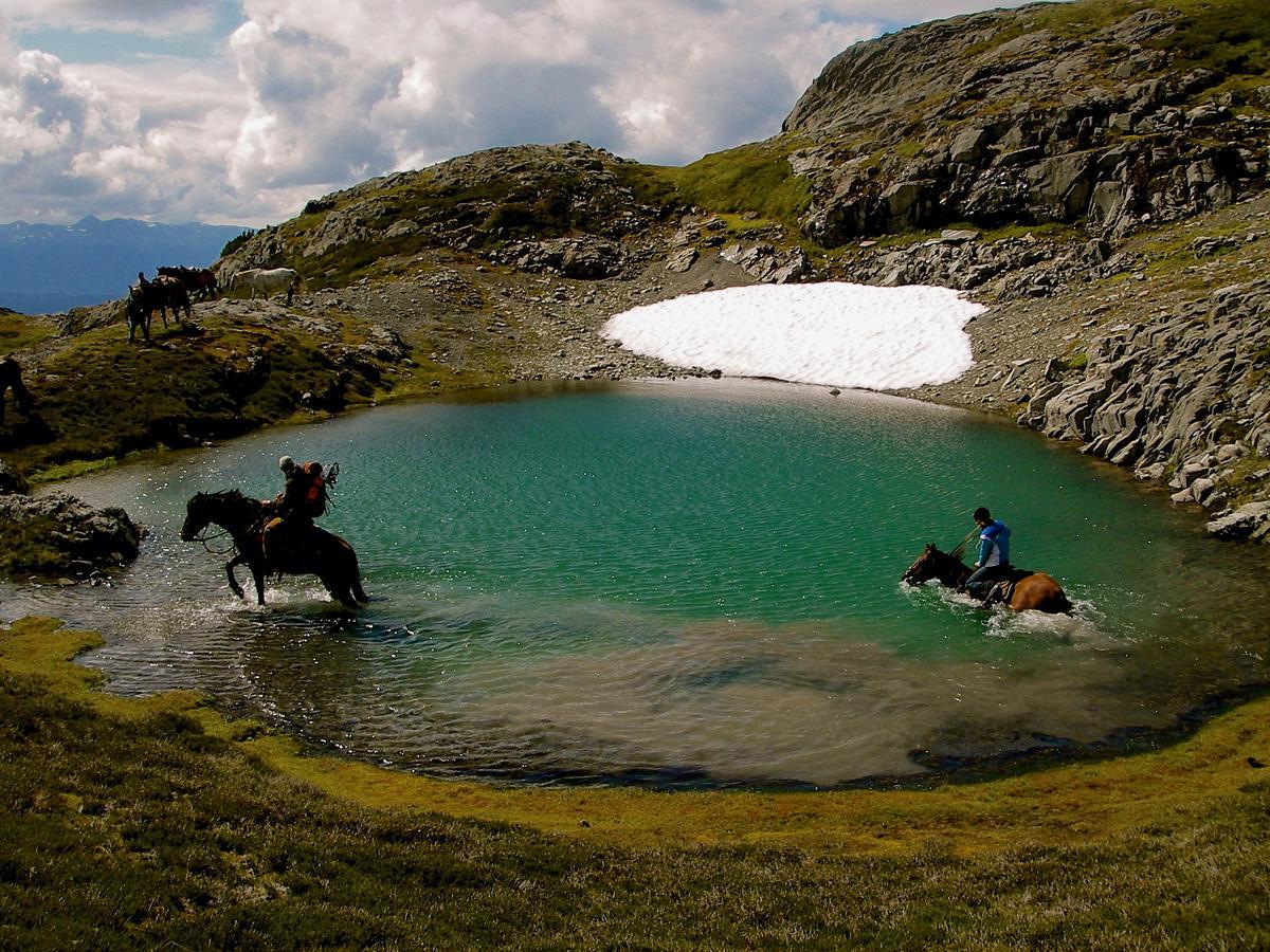 Bear Claw Lodge Kispiox Eksteriør billede