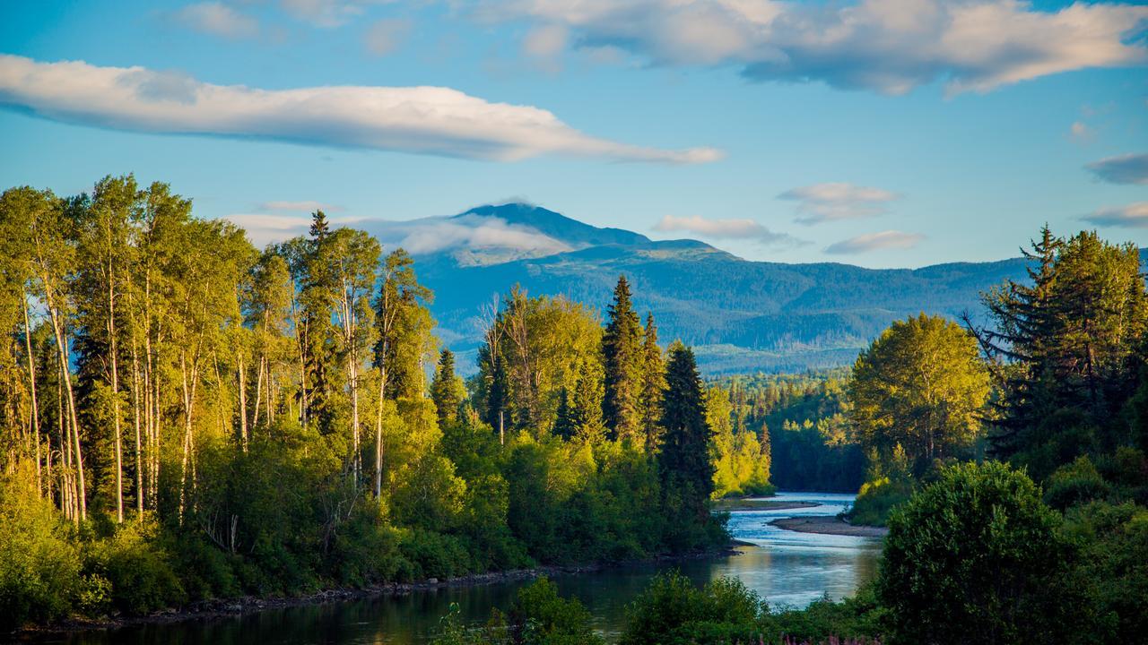 Bear Claw Lodge Kispiox Eksteriør billede